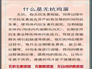 綠美格勒無抗雞蛋